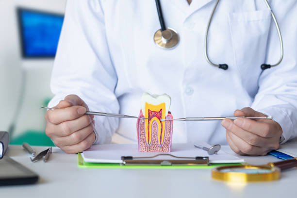 Best Broken or Cracked Tooth Emergency Dentist in Port Orchard, WA